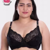 Black Beauty Seamed Lightly Padded Wired Lace Bra