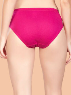 Women Assorted Cotton Basic Briefs