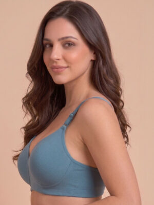 Full Coverage Lightly Padded Fancy Bra - Blue