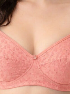 Non Padded Full Coverage Fancy Bra