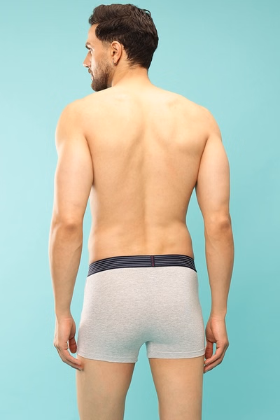 John Players Colourblocked Trunk in Grey