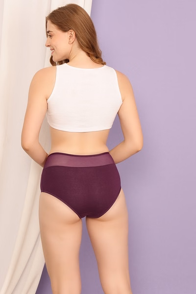 High Waist Hipster Panty in Wine Colour with Powernet Panels - Cotton